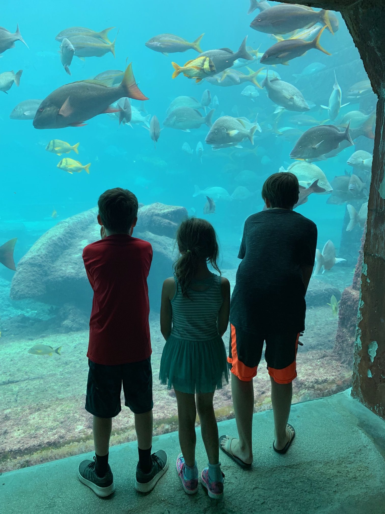 Jasper s disney cruise review laura vanderkam