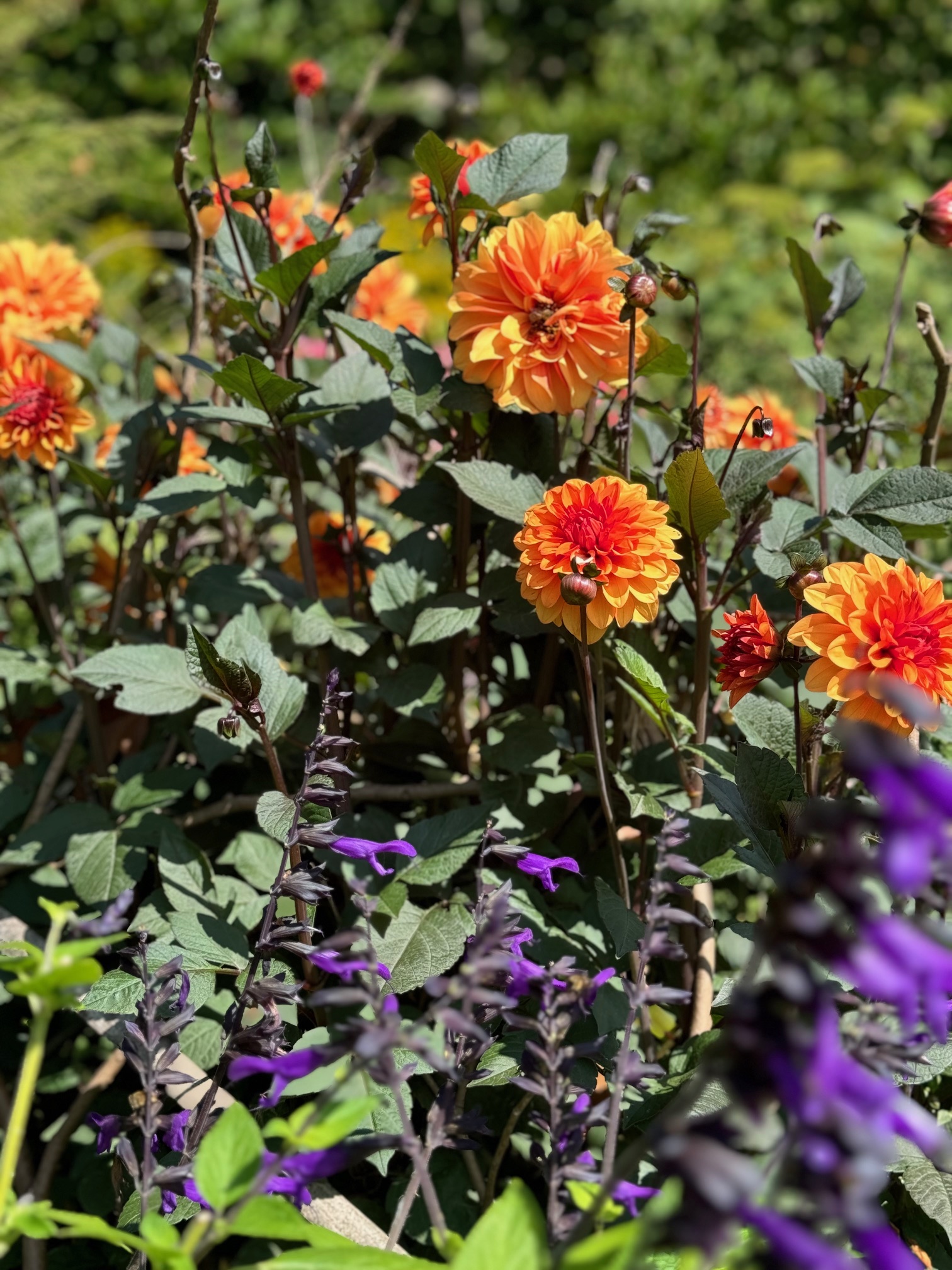 Choosing next year's yearlong project Laura Vanderkam