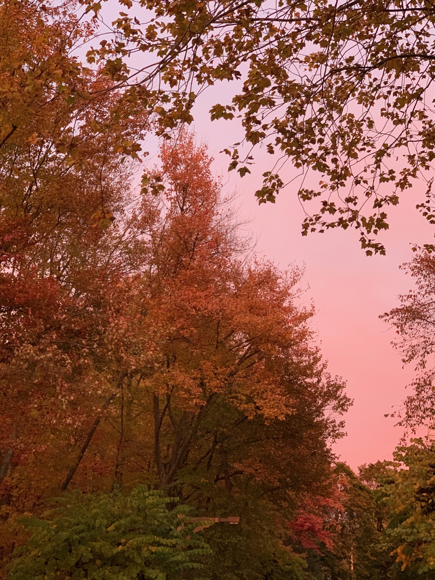 Coping with the cold and dark (and a content roundup, including a Cal