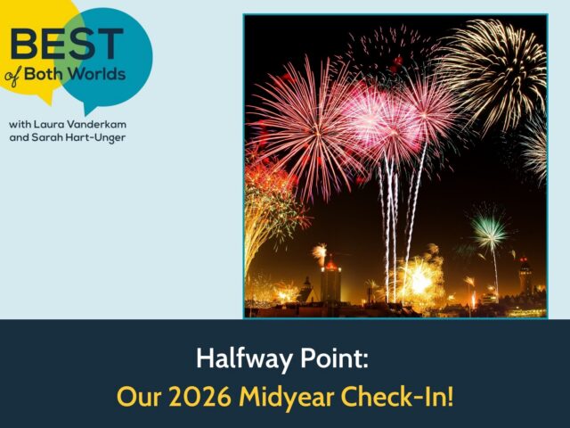 2026 mid-year goals check in